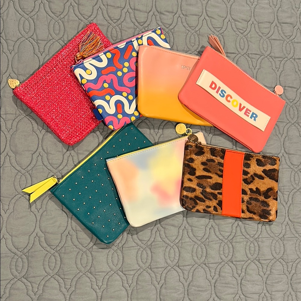Set of Ipsy Makeup Bags